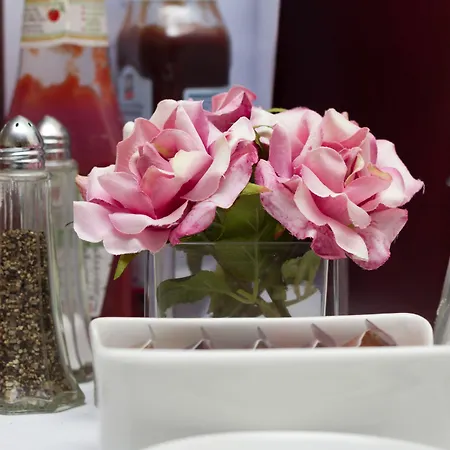 Rose-dene Scarborough